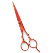 Professional Hair Cutting Scissors